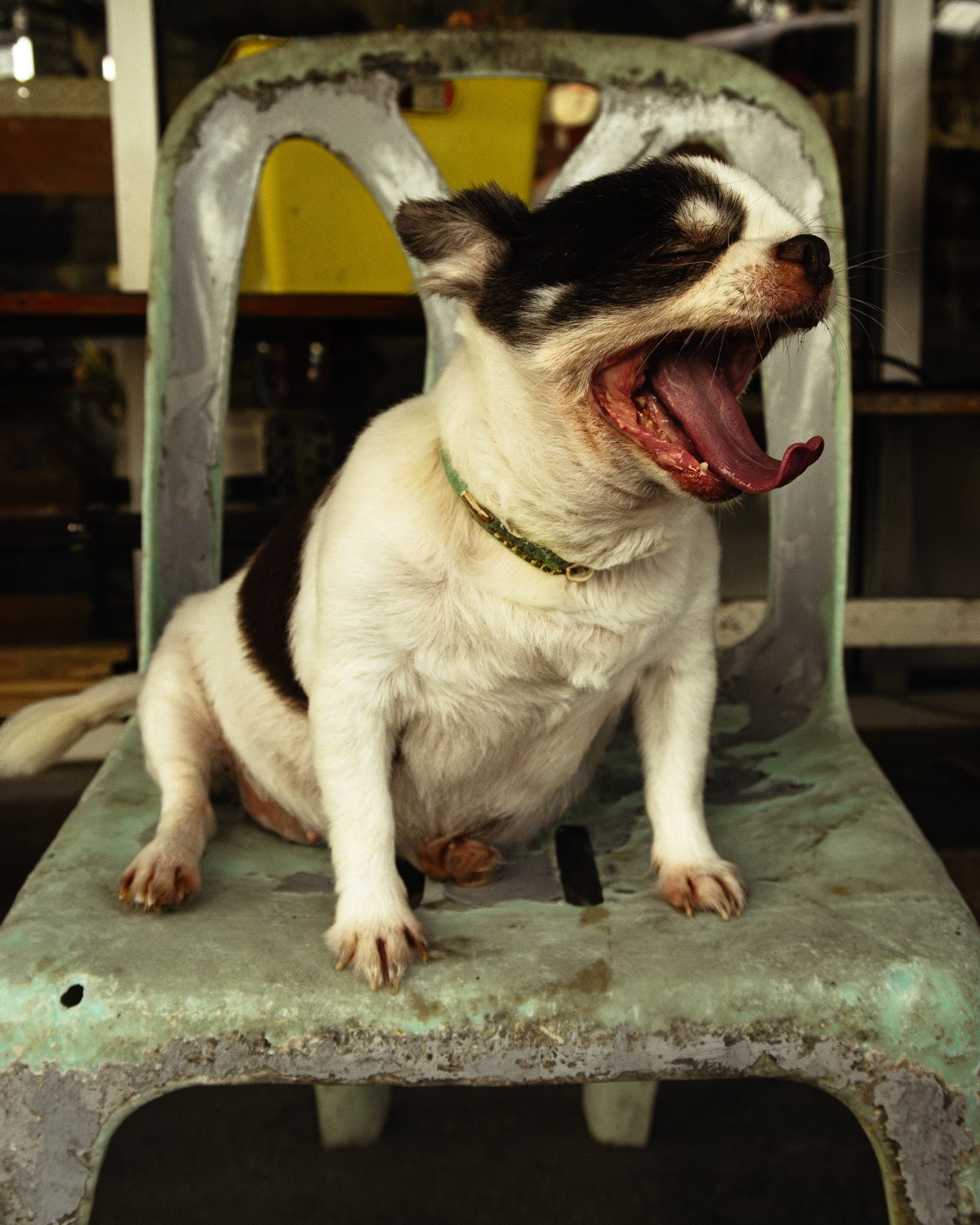 LidiiaFotoLab: Portrait, Event & Hochzeitsfotografin