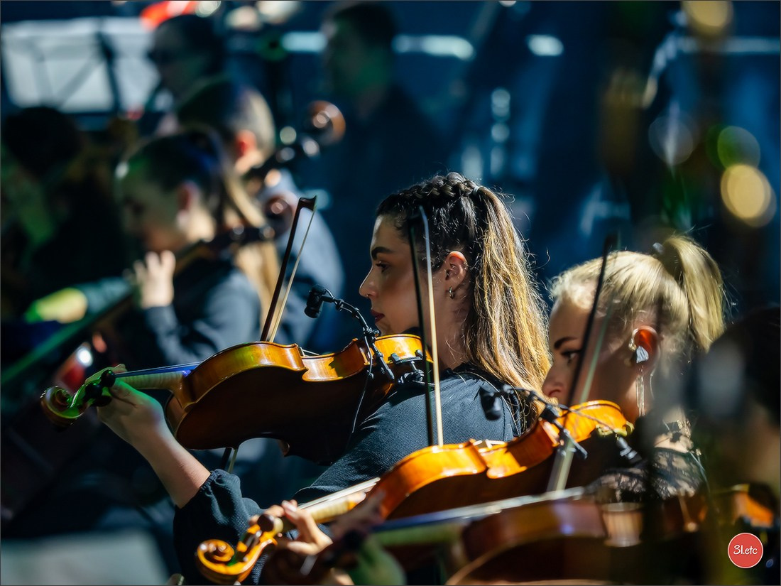 Concerts . Carnavals . Festivals. Photographe à Strasbourg | Portraits, Studio, Enfants, Événements
