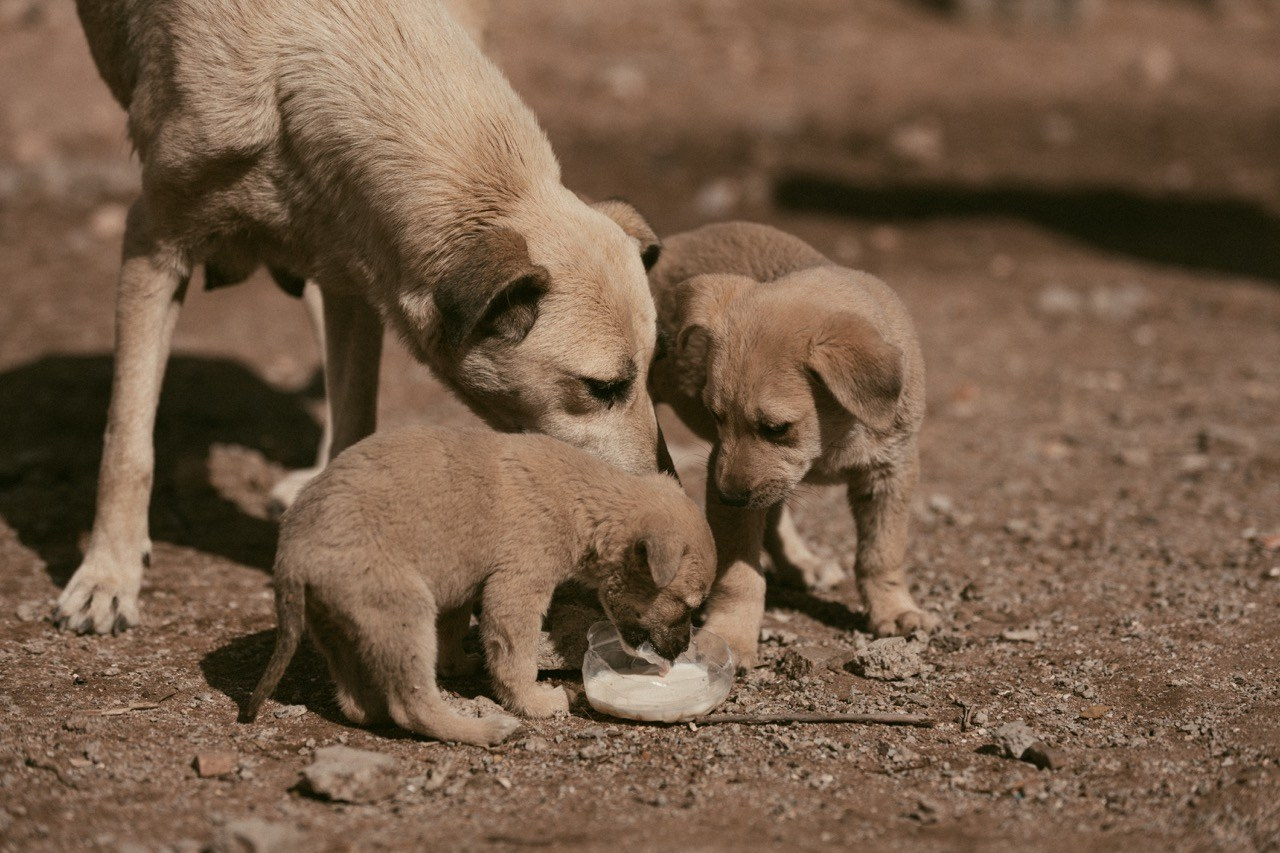 Travel and lifestyle photography. Dana Lišková — Empathetic Photographer | Introspective Artist |Neurodivergent Coach | Founder of Artepy.cz