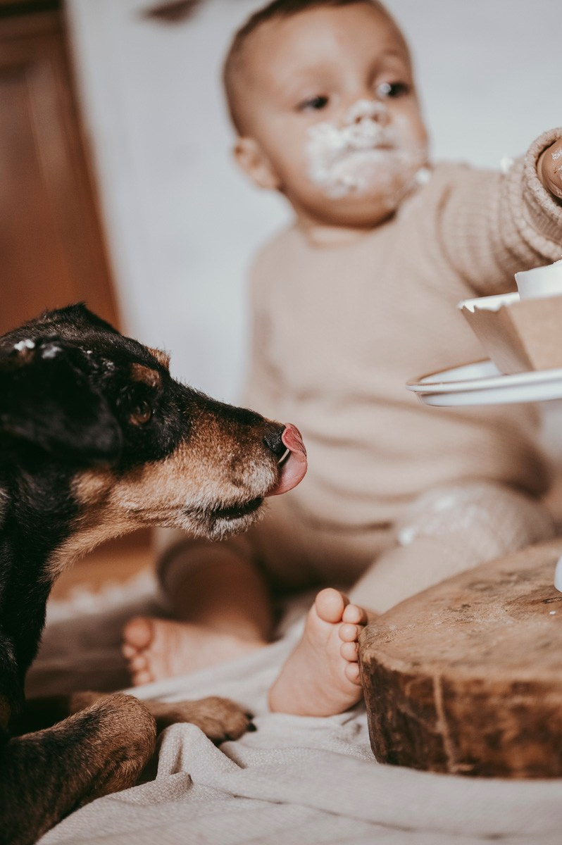 Filipova prva proslava rodjendan kod kuce. Deciji i porodicni fotograf u Beogradu Oksana Skendzic