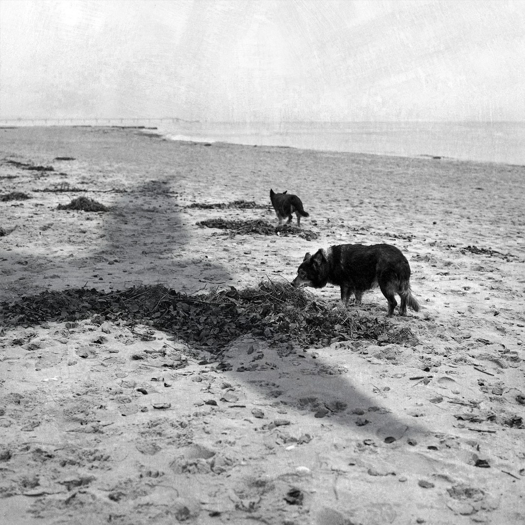 Powrót z gwiazd. Halina Marduła