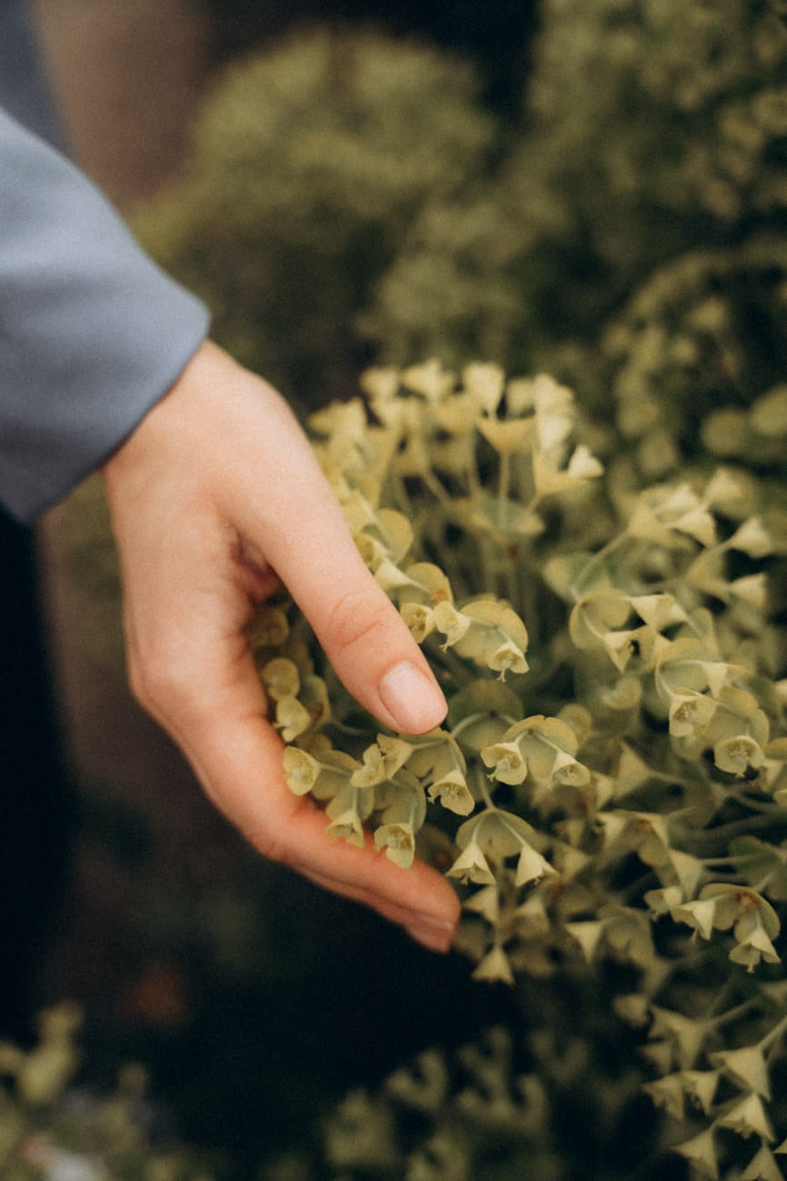 Female portrait session. Little Birdie – Jouw familie- en huwelijksfotograaf in België en daarbuiten