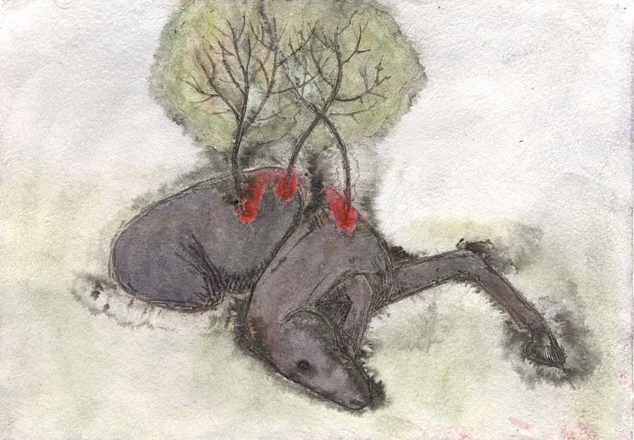 Archive. Marina Antonova