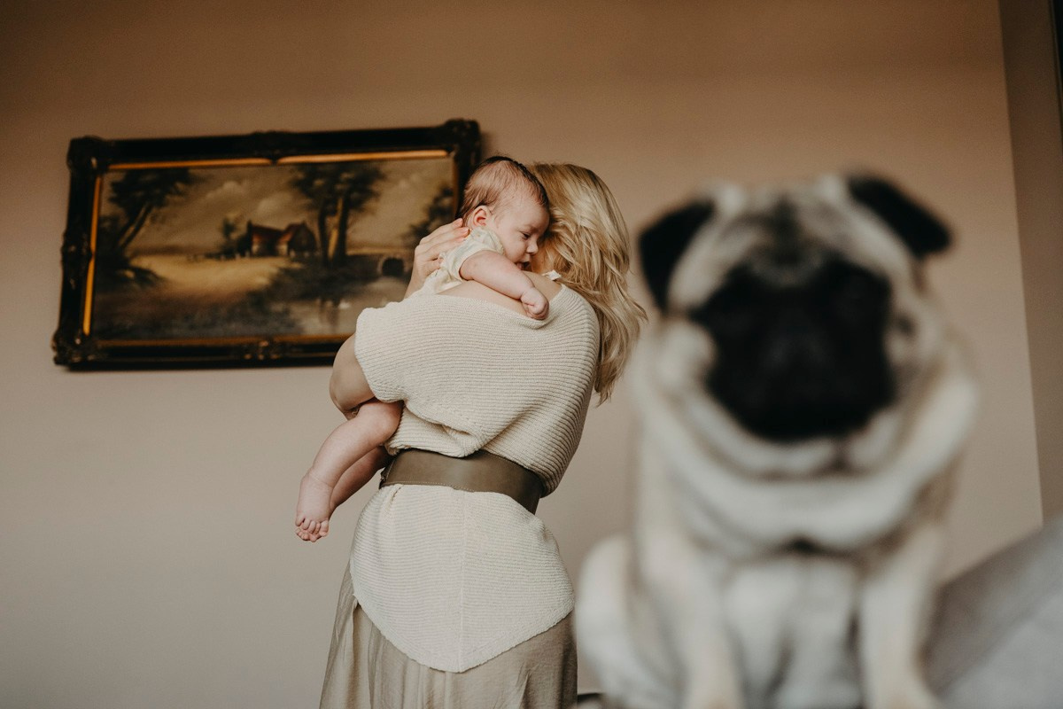 Jelena, Uros i Vasilije / porodicno fotografisanje kod kuce. Deciji i porodicni fotograf u Beogradu Oksana Skendzic