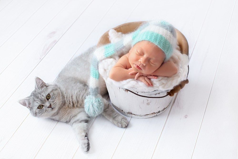 Sesja noworodkowa dla chłopca w Trójmieście - Natalia Lucko