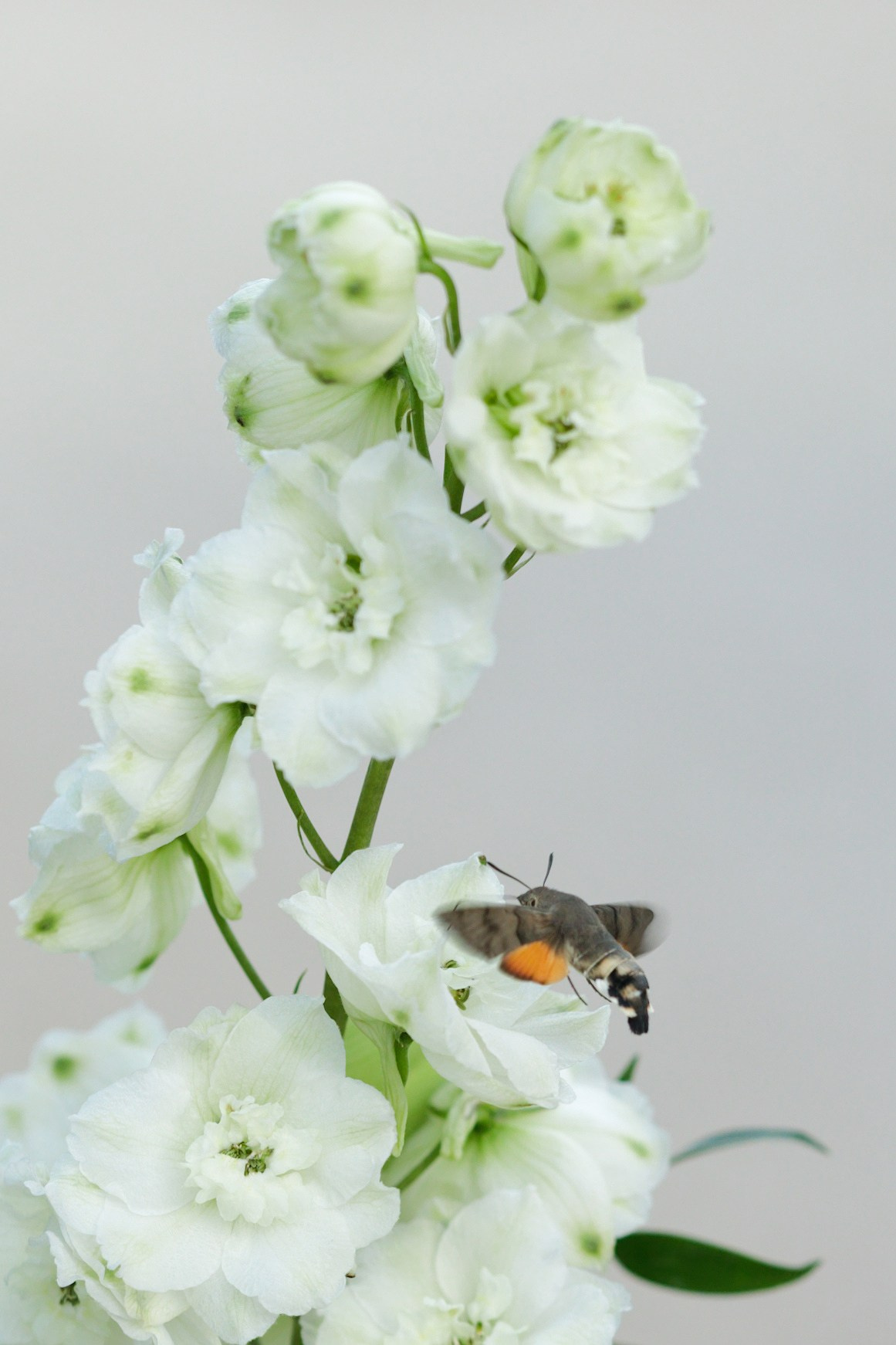 Wedding at Fonte Sala, Tuscany, Italy
