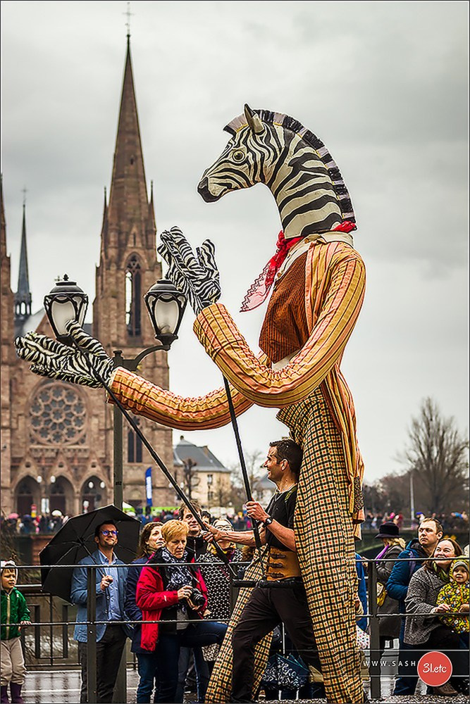 Concerts . Carnavals . Festivals. Photographe à Strasbourg | Portraits, Studio, Enfants, Événements