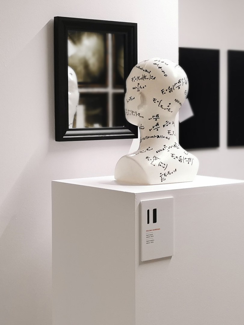 Apercepcja. Halina Marduła