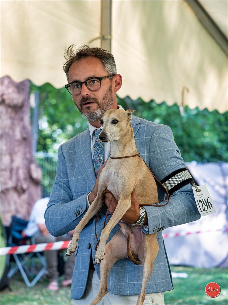 Dog Show Ludwigshafen  🇩🇪  16-17/08/2025. Photographe à Strasbourg | Portraits, Studio, Enfants, Événements