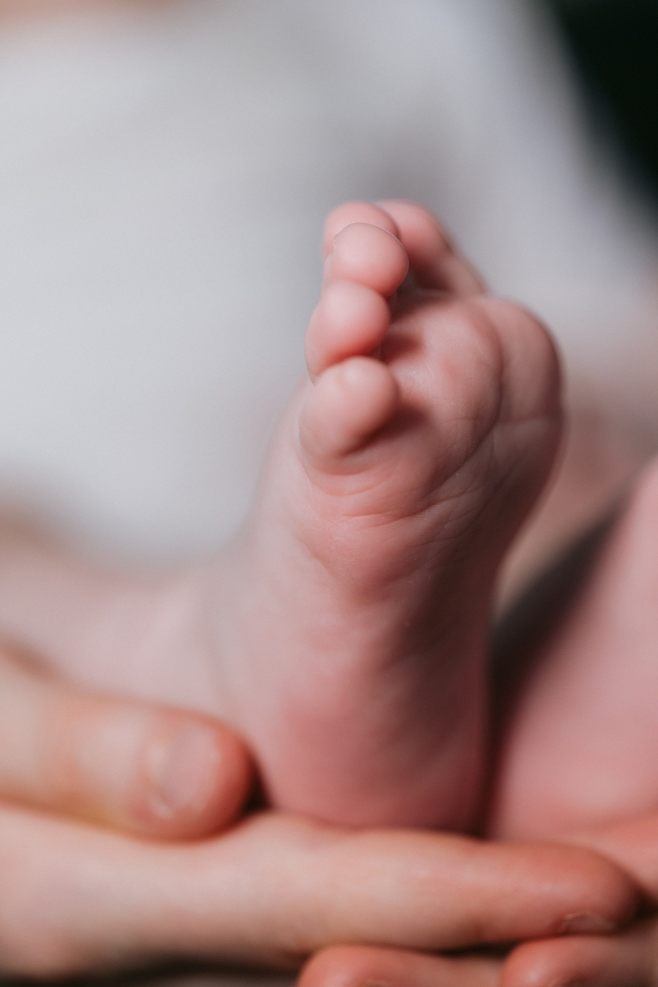 Recenzii fotograf roman Belgia – Stefan Bogdan. Fotograf de nuntă Belgia - Stefan Bogdan | Fotograf roman