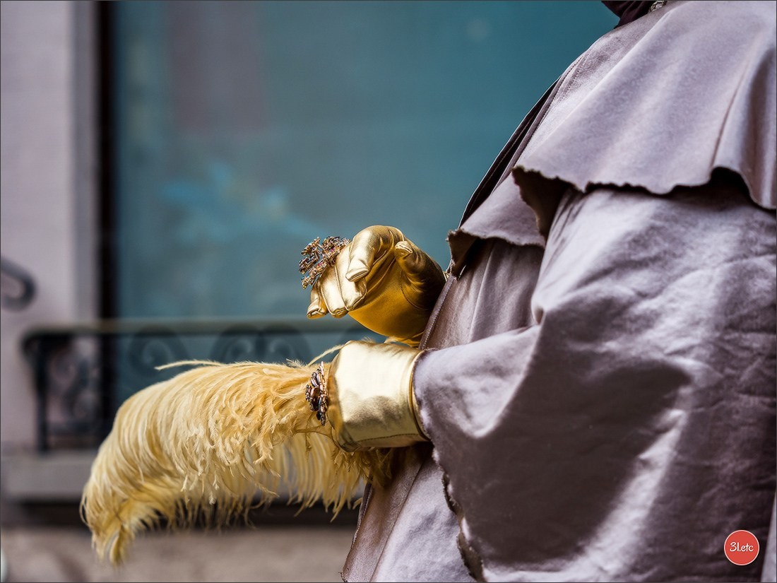 Carnaval venitien de Rosheim 2024. Photographe à Strasbourg | Portraits, Studio, Enfants, Événements