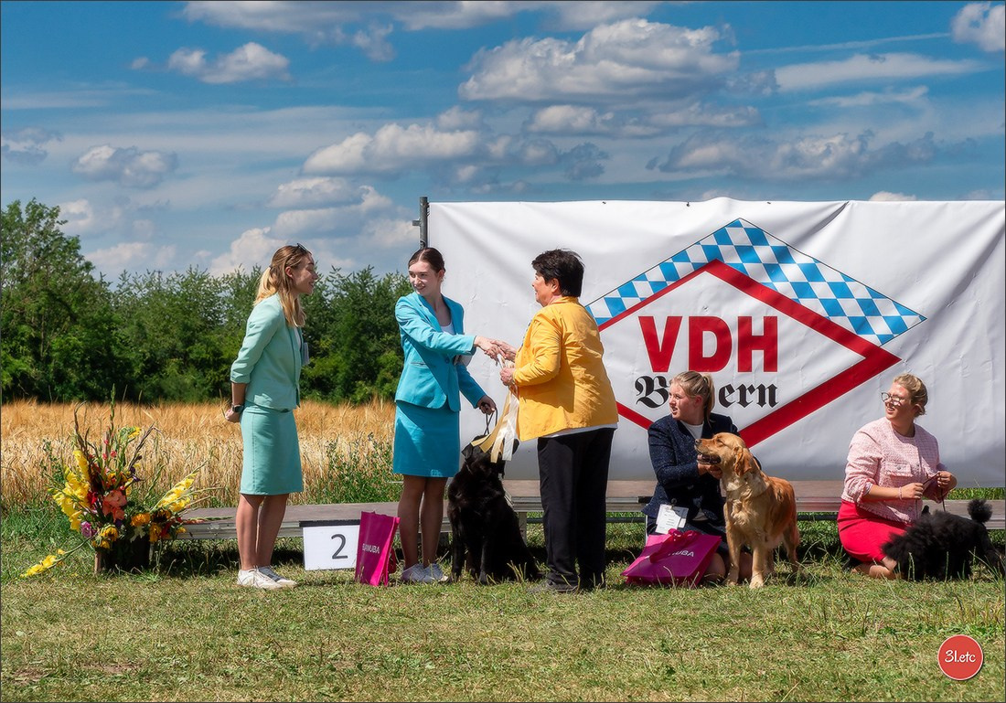 Dog Show Hallbergmoos  🇩🇪  11-13/07/2025. Photographe à Strasbourg | Portraits, Studio, Enfants, Événements