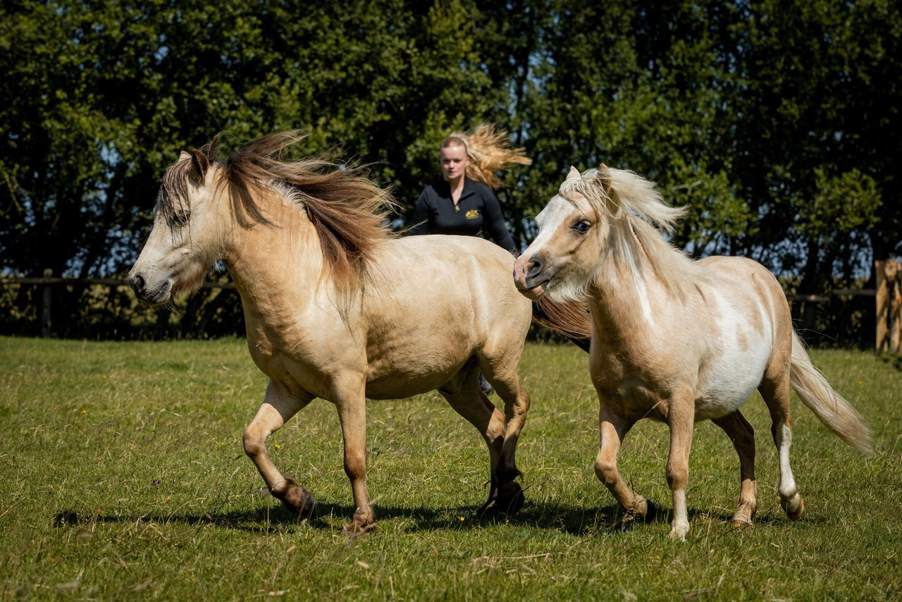 Fotograf in Deutschland - Michael Baron. Fotograf in Deutschland - Michael Baron