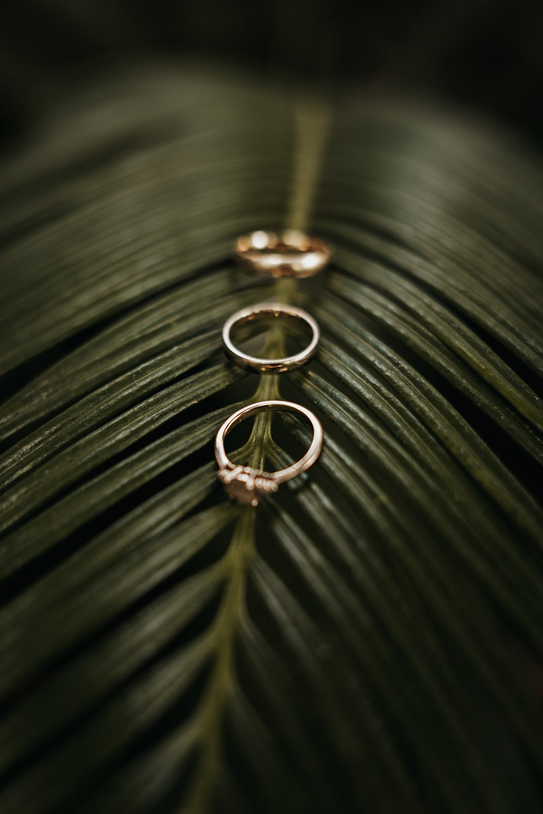 Ioana & Neemia. Ionutdraganfoto.com