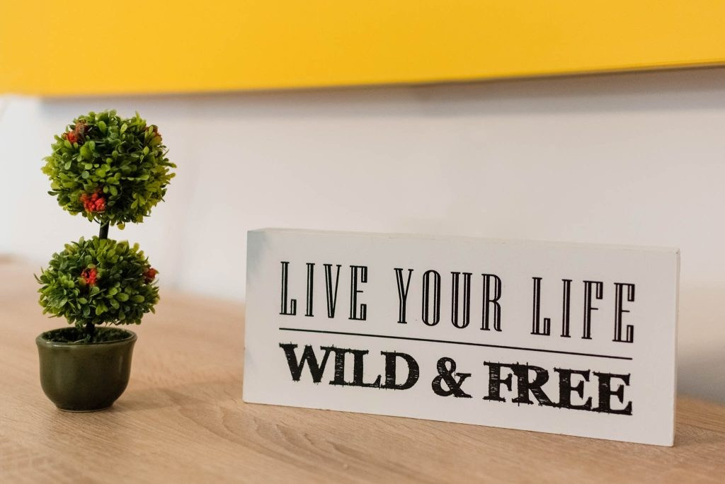 Fotograf profesionist Constanta. Bianca Bechisi - Fotograf profesionist Constanta