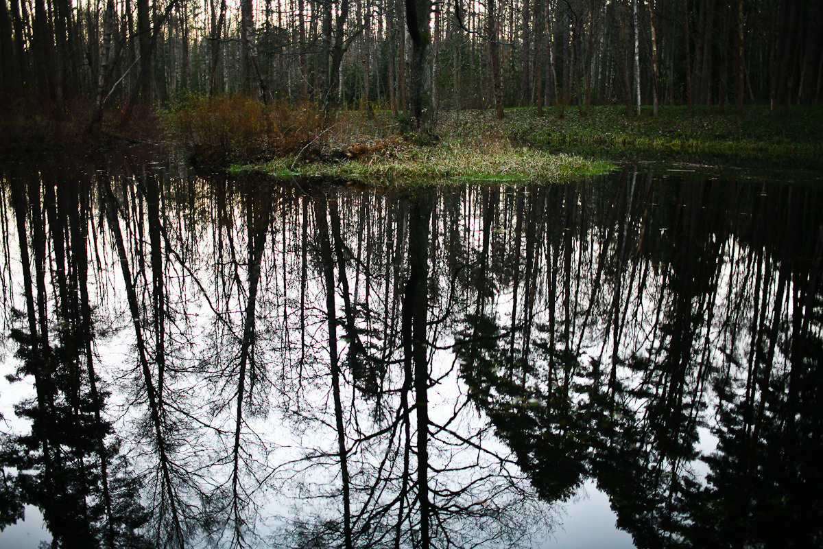Natalie, woman of forest and sea. Виктория Дини. Арт-фотография