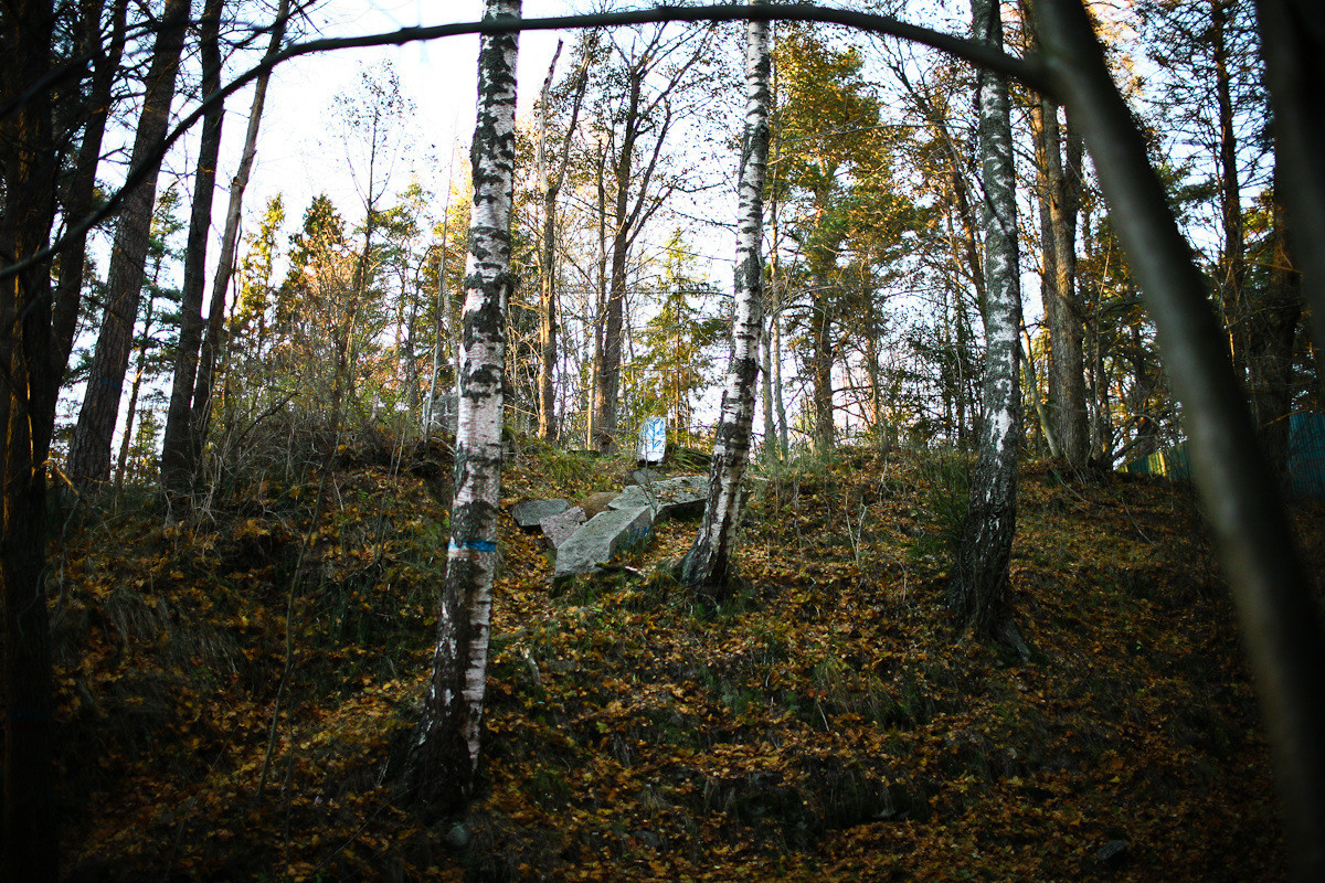 Natalie, woman of forest and sea. Виктория Дини. Арт-фотография