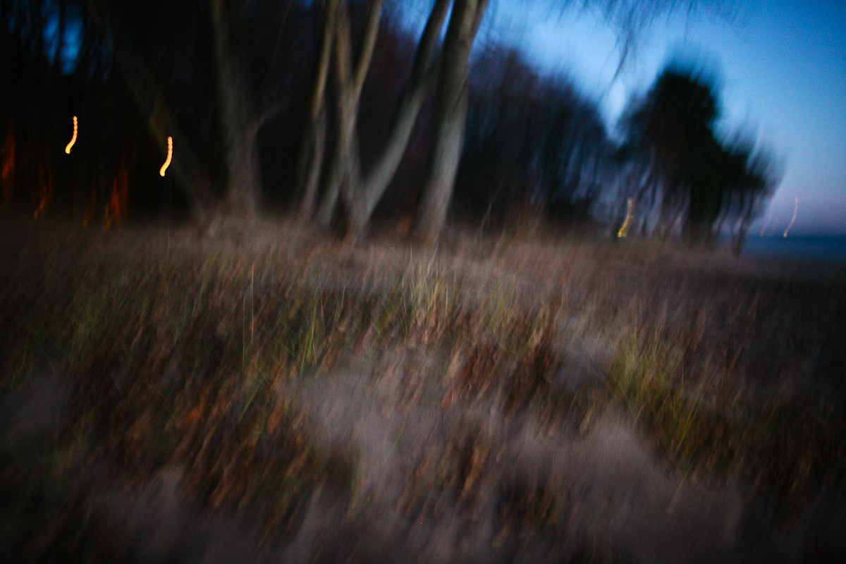 Natalie, woman of forest and sea. Виктория Дини. Арт-фотография