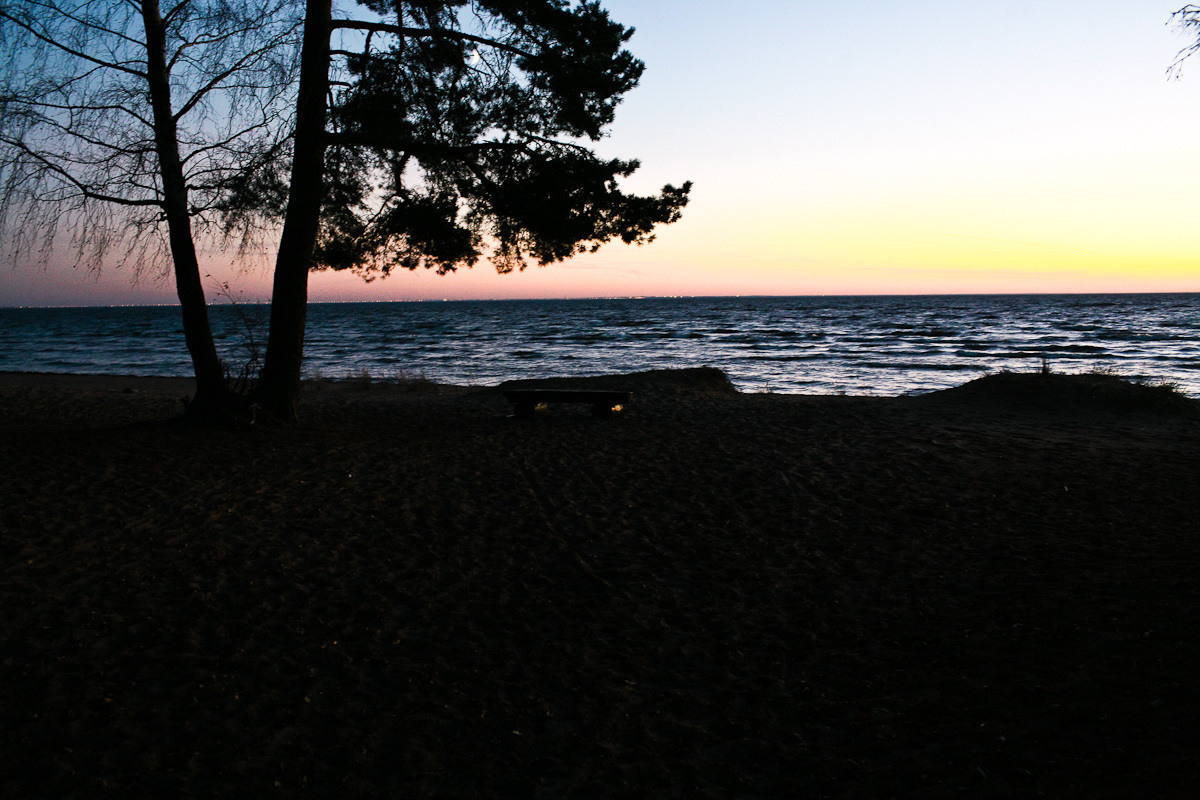 Natalie, woman of forest and sea. Виктория Дини. Арт-фотография