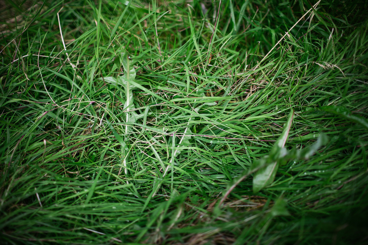 Прежде чем ты пришел. Виктория Дини. Арт-фотография