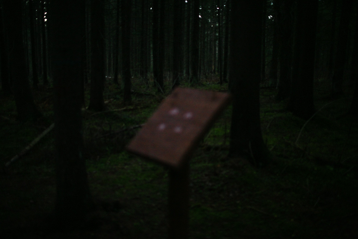 Natalie, woman of forest and sea. Виктория Дини. Арт-фотография