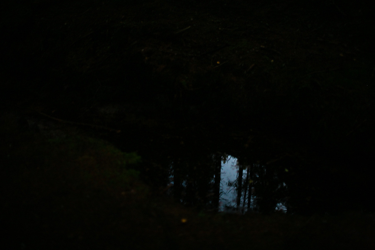 Natalie, woman of forest and sea. Виктория Дини. Арт-фотография