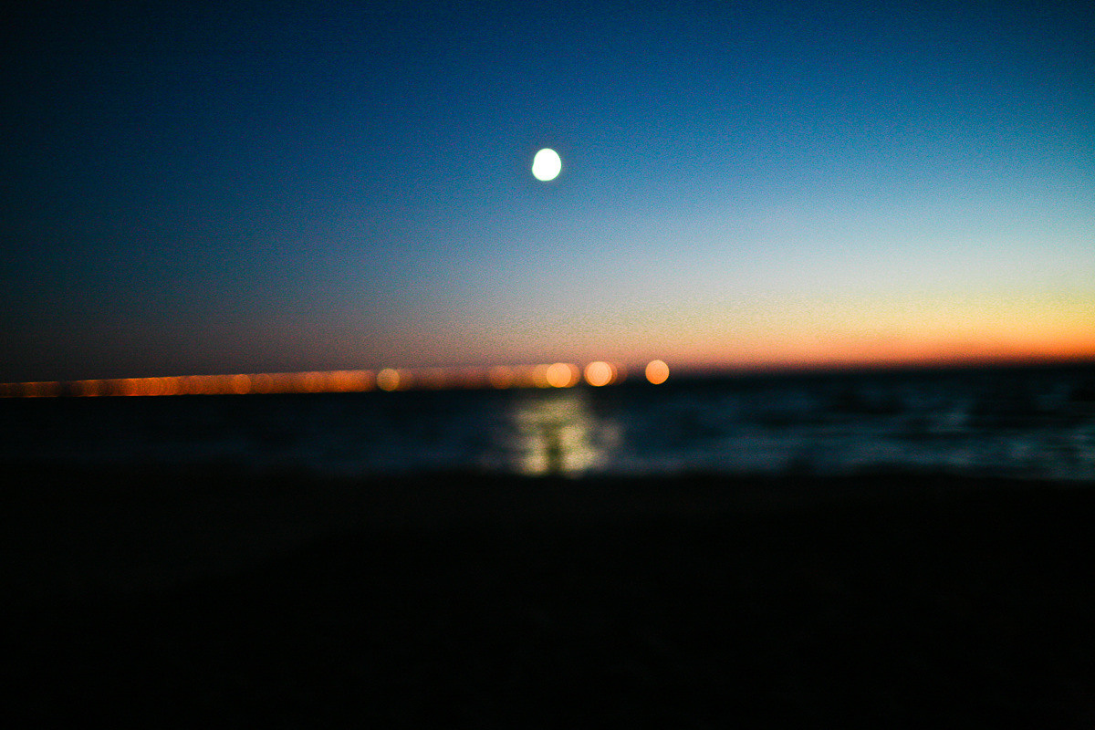 Natalie, woman of forest and sea. Виктория Дини. Арт-фотография