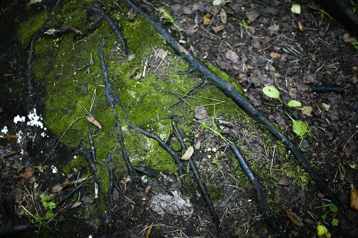 Морка, дочь охотника. Виктория Дини. Арт-фотография