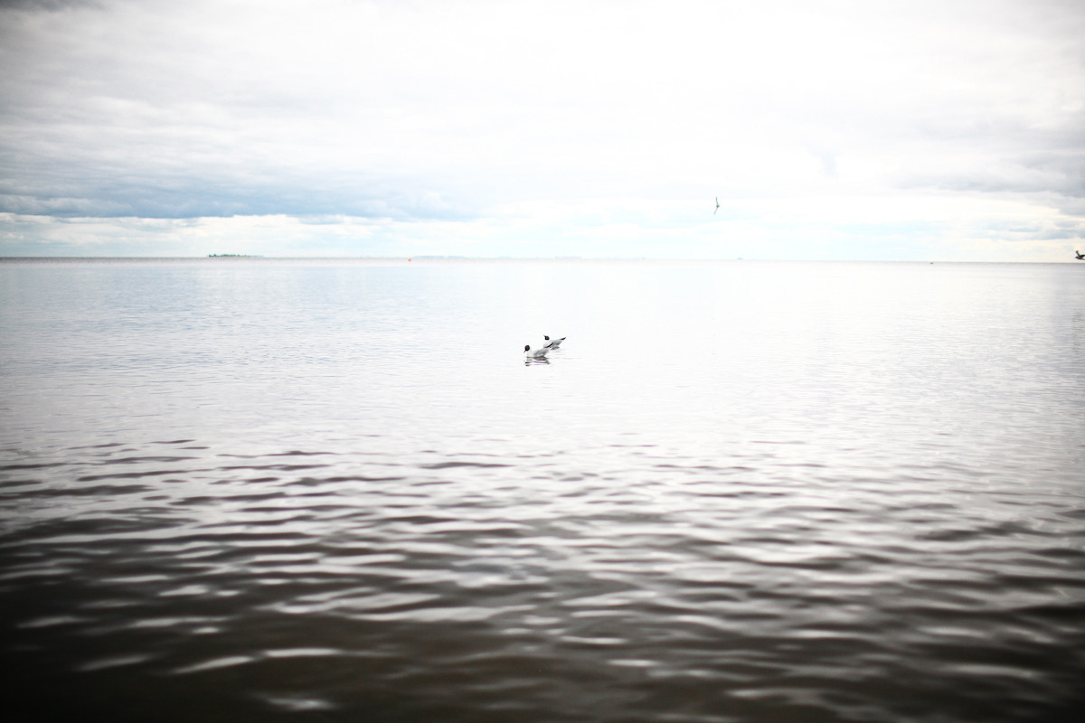 Прежде чем ты пришел. Виктория Дини. Арт-фотография
