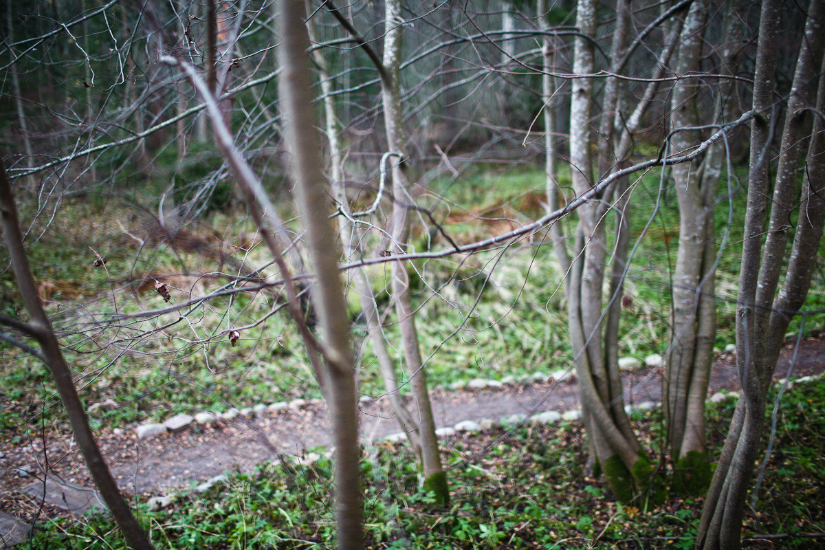 Natalie, woman of forest and sea. Виктория Дини. Арт-фотография
