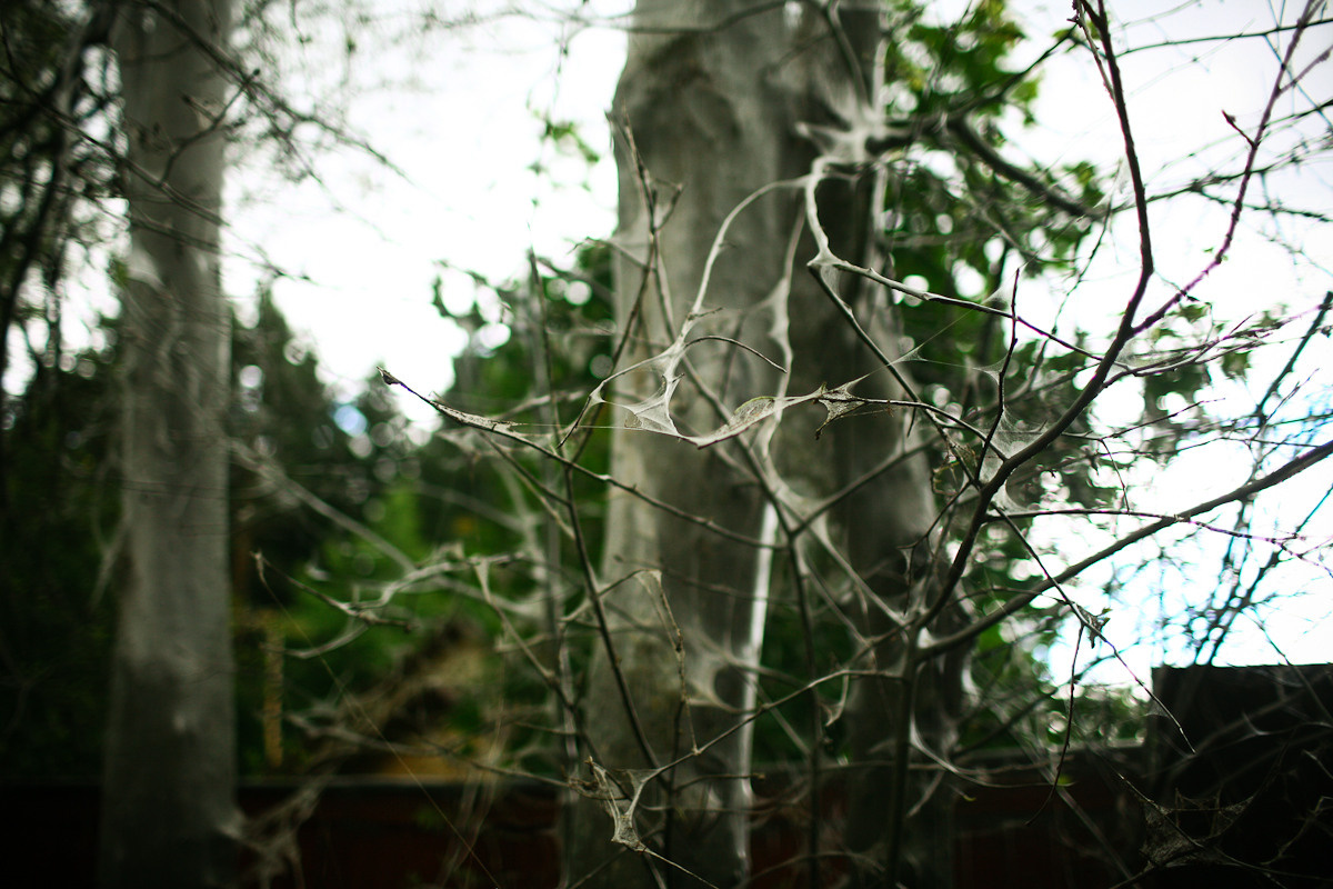 Прежде чем ты пришел. Виктория Дини. Арт-фотография