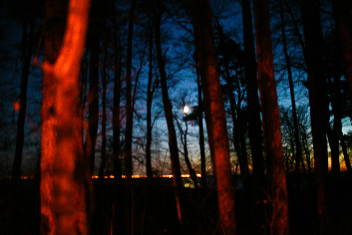 Natalie, woman of forest and sea. Виктория Дини. Арт-фотография