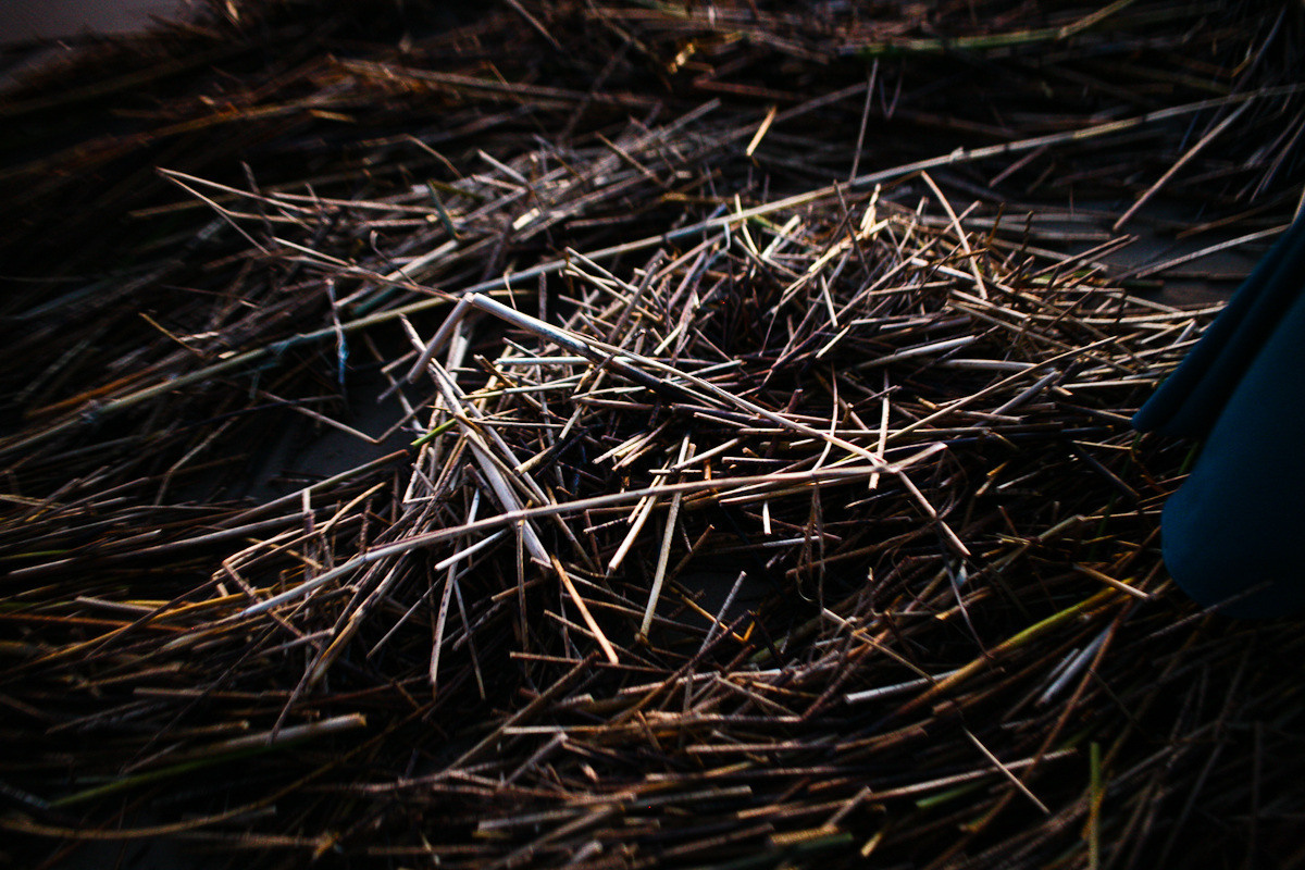 Natalie, woman of forest and sea. Виктория Дини. Арт-фотография