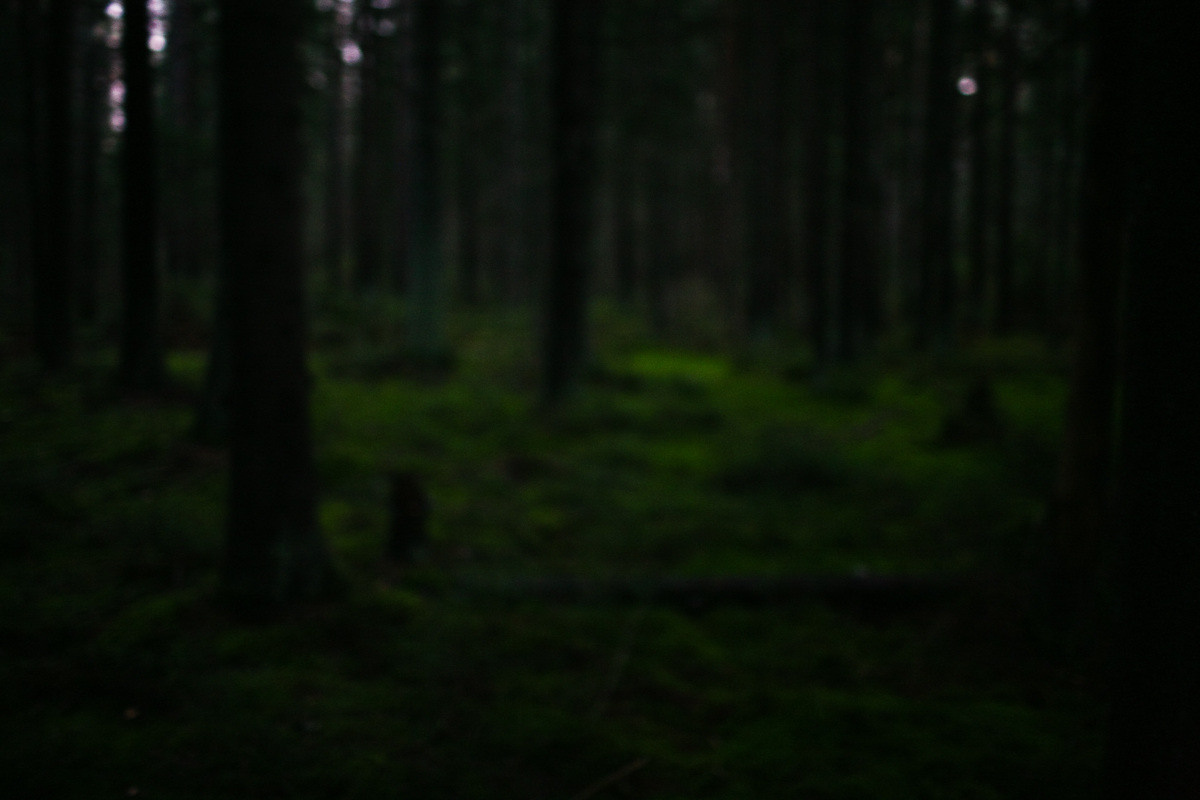 Natalie, woman of forest and sea. Виктория Дини. Арт-фотография