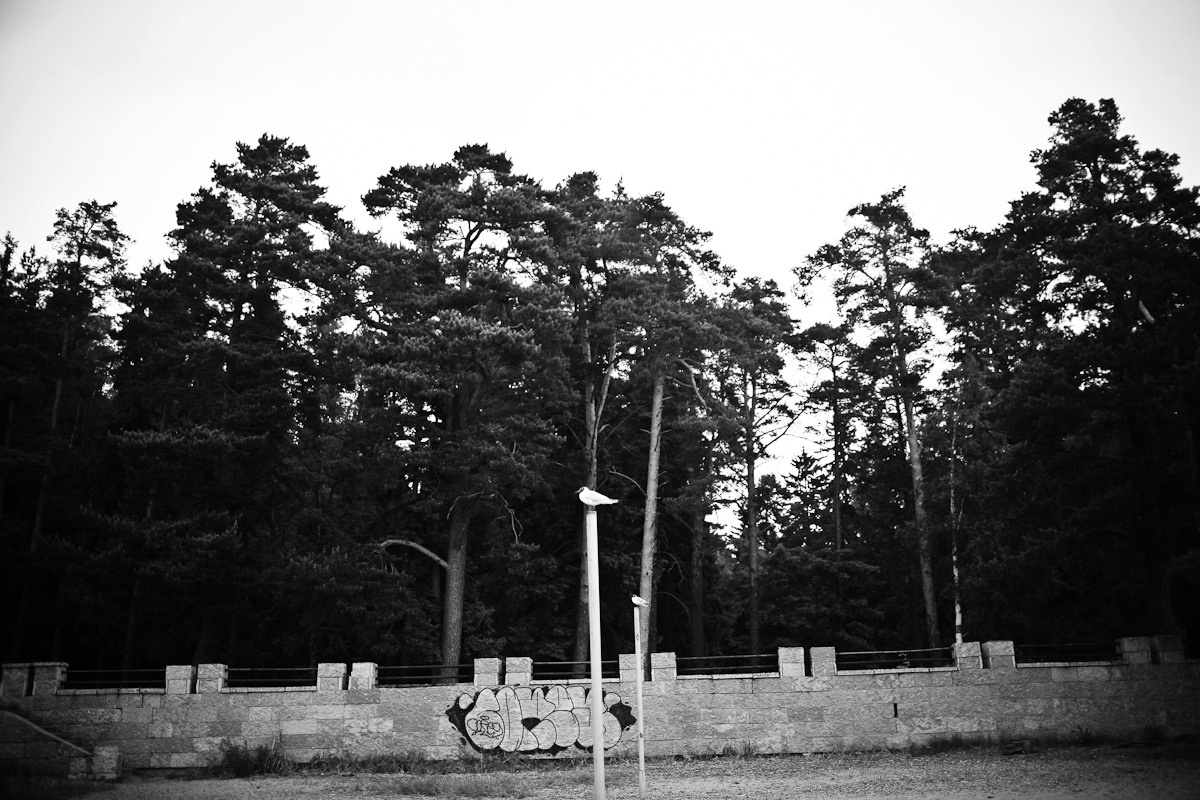 Прежде чем ты пришел. Виктория Дини. Арт-фотография