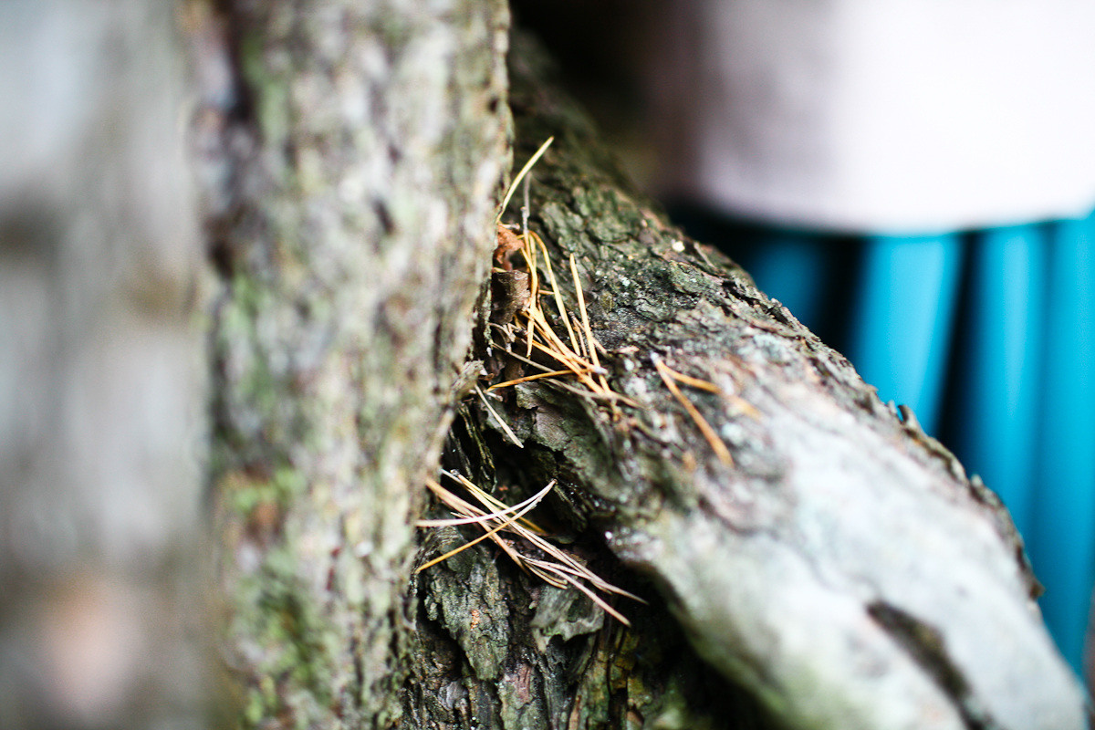 Natalie, woman of forest and sea. Виктория Дини. Арт-фотография