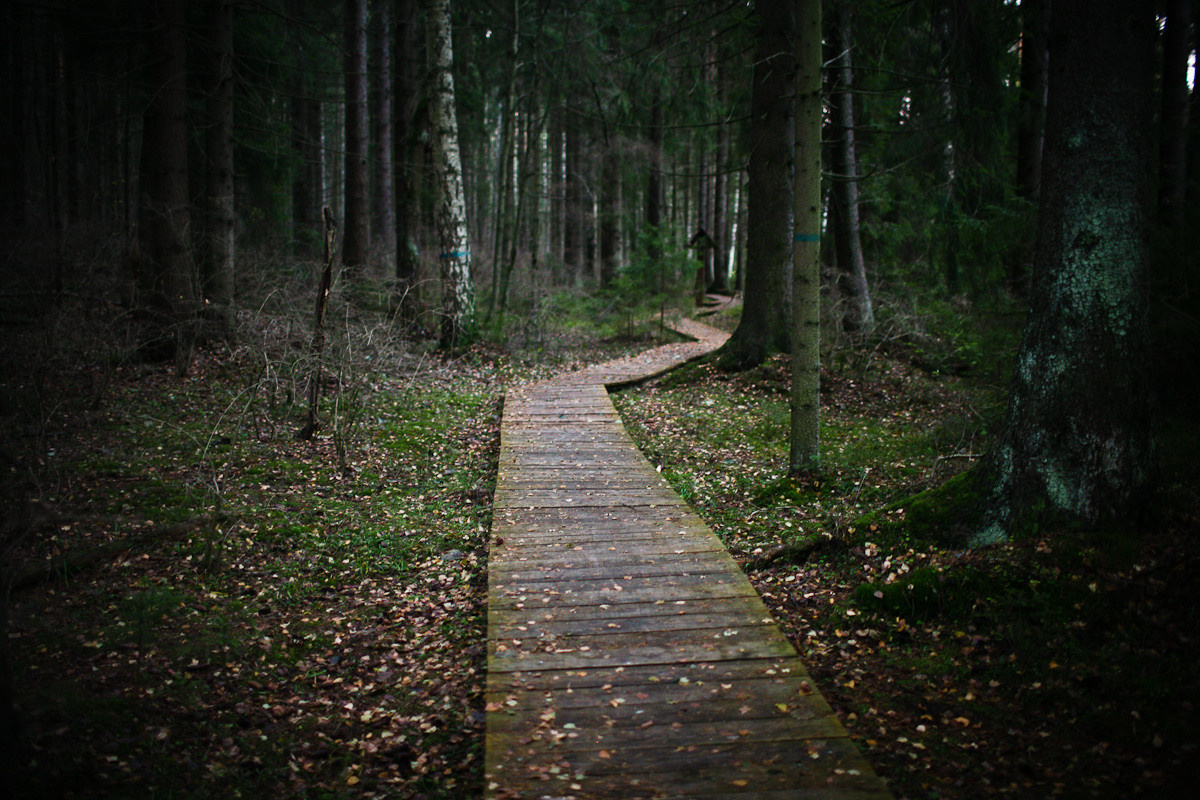 Natalie, woman of forest and sea. Виктория Дини. Арт-фотография