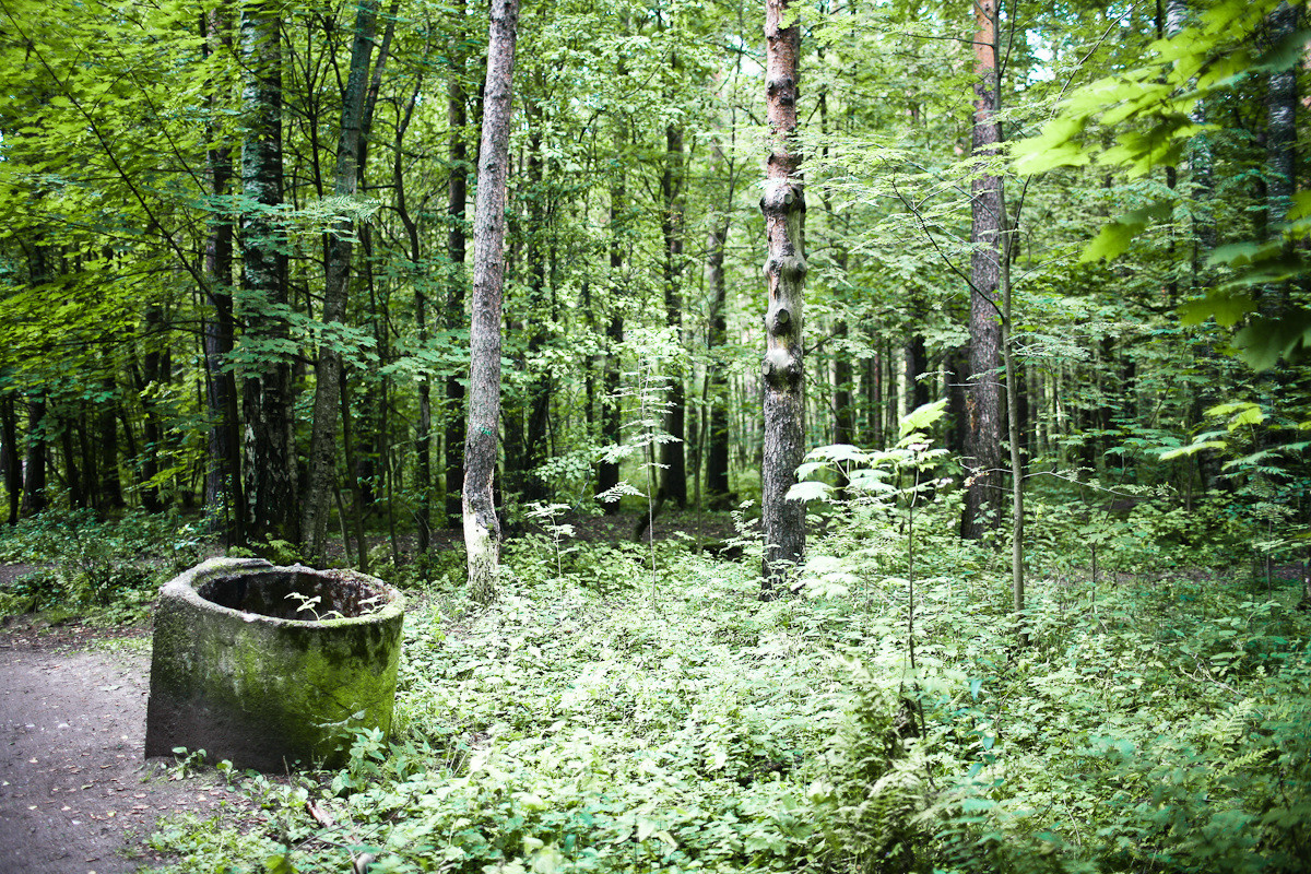 Морка, дочь охотника. Виктория Дини. Арт-фотография