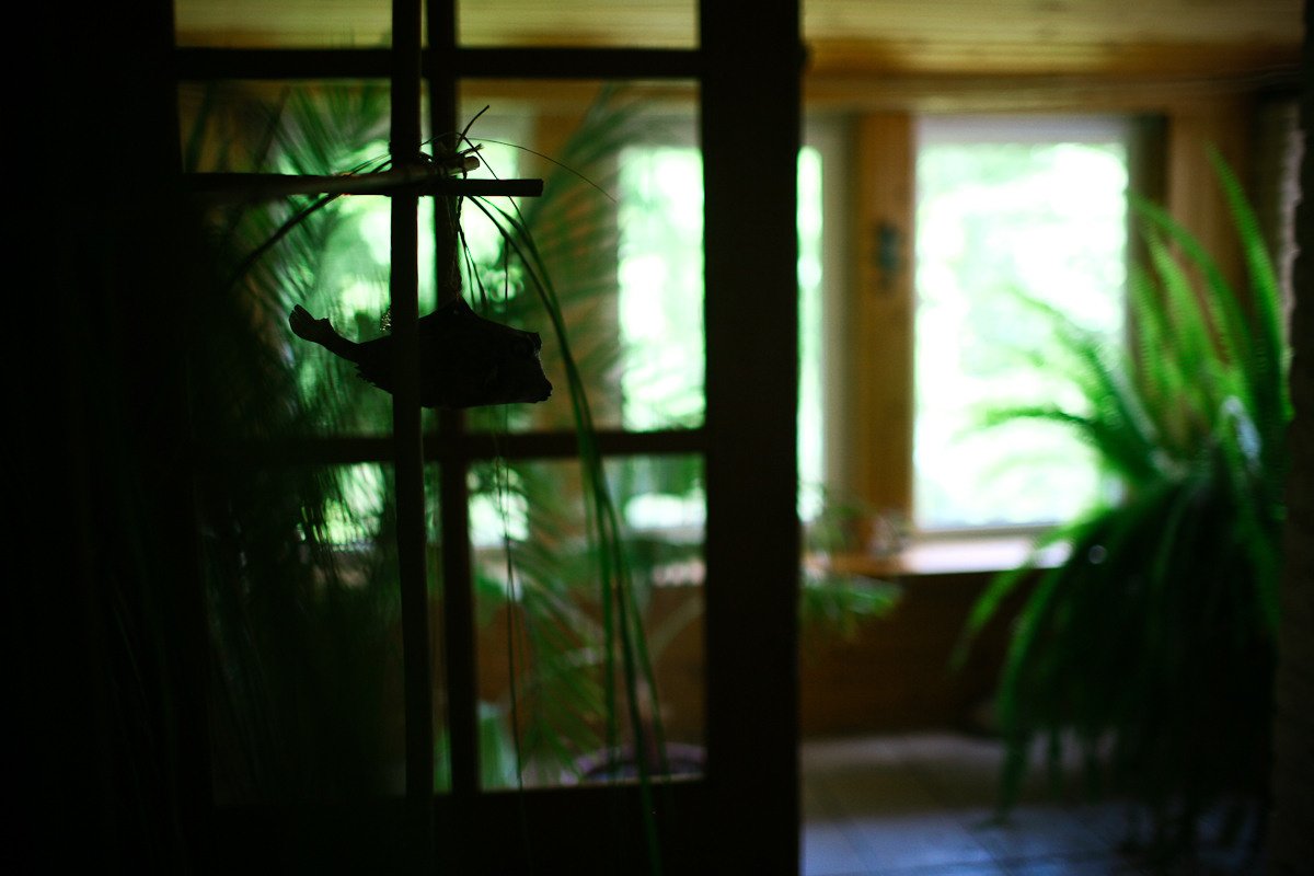 Прежде чем ты пришел. Виктория Дини. Арт-фотография