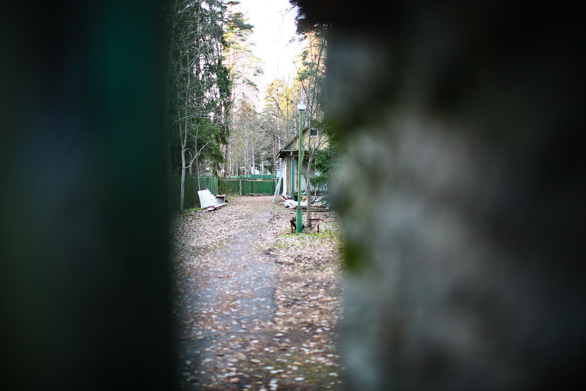 Natalie, woman of forest and sea. Виктория Дини. Арт-фотография