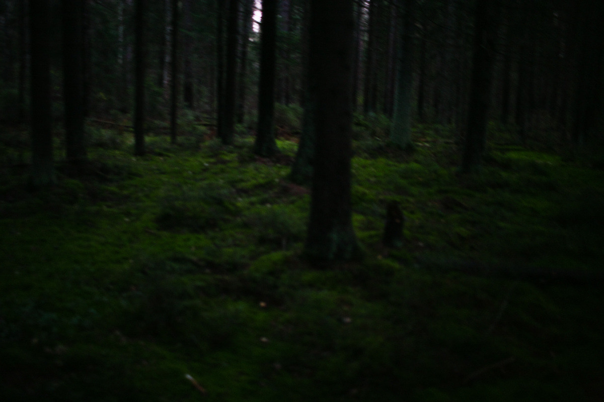 Natalie, woman of forest and sea. Виктория Дини. Арт-фотография