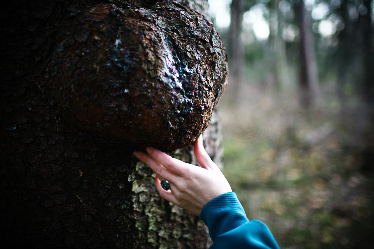 Natalie, woman of forest and sea. Виктория Дини. Арт-фотография