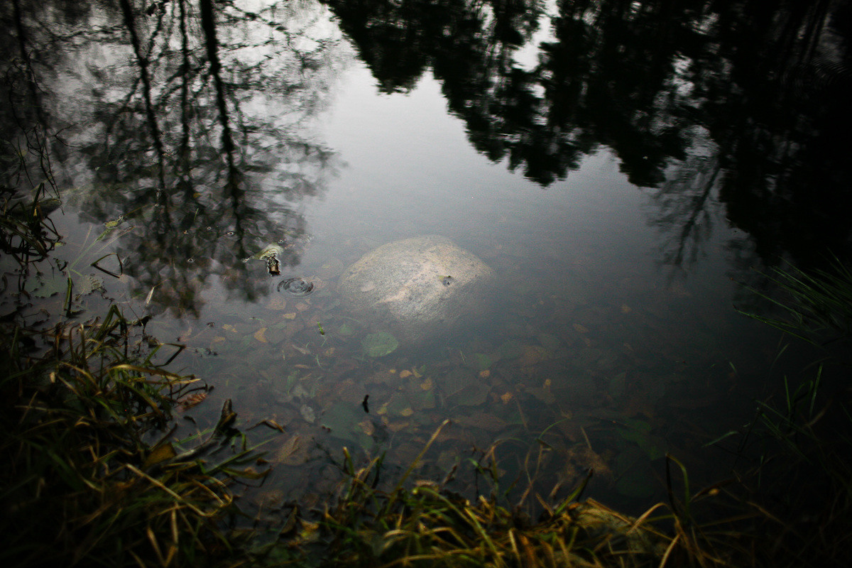 Natalie, woman of forest and sea. Виктория Дини. Арт-фотография