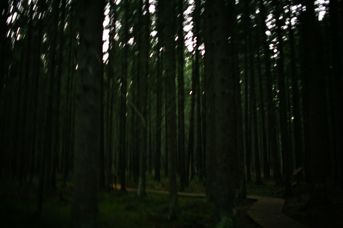 Natalie, woman of forest and sea. Виктория Дини. Арт-фотография