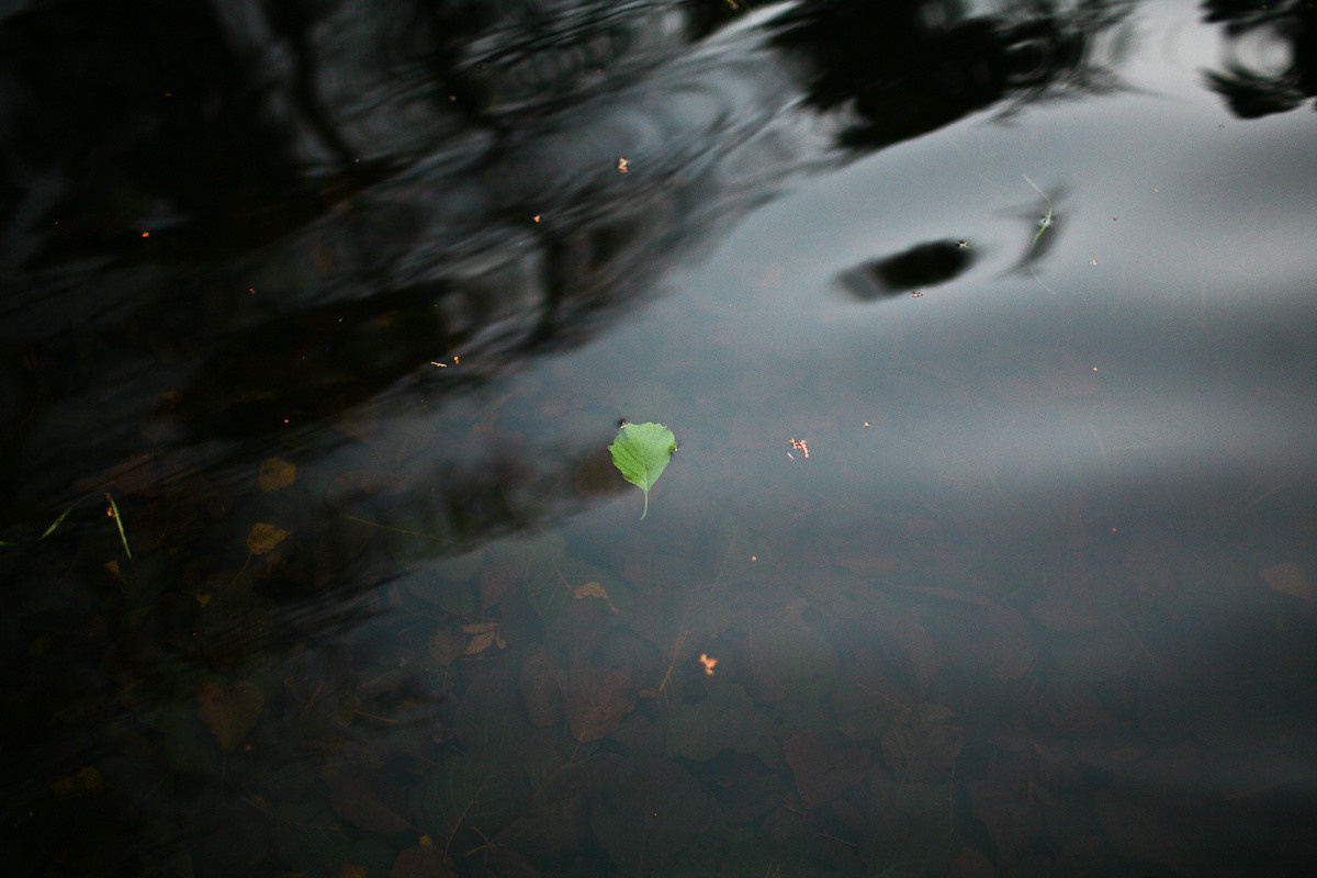 Natalie, woman of forest and sea. Виктория Дини. Арт-фотография