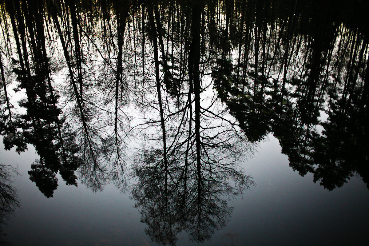 Natalie, woman of forest and sea. Виктория Дини. Арт-фотография
