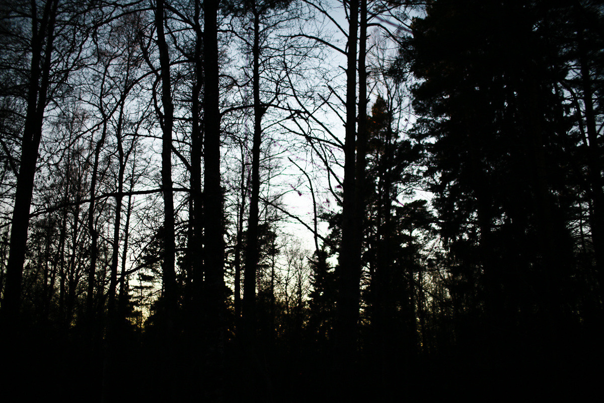 Natalie, woman of forest and sea. Виктория Дини. Арт-фотография