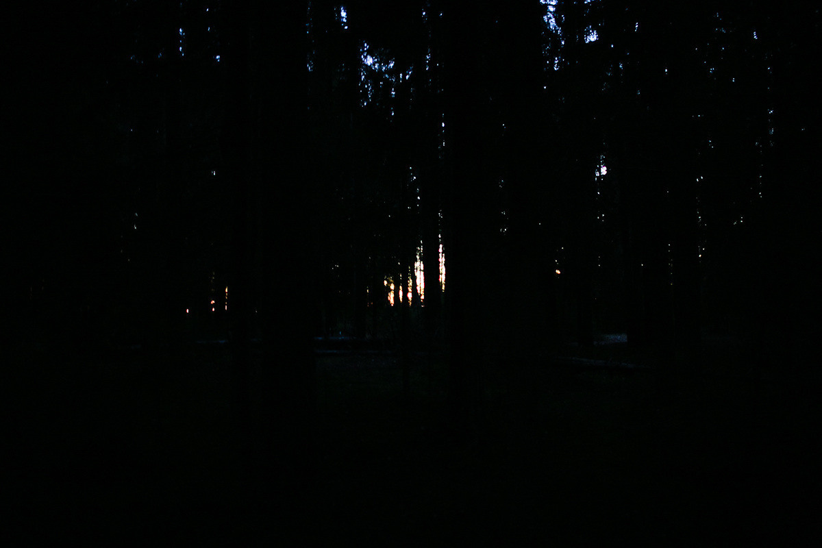 Natalie, woman of forest and sea. Виктория Дини. Арт-фотография