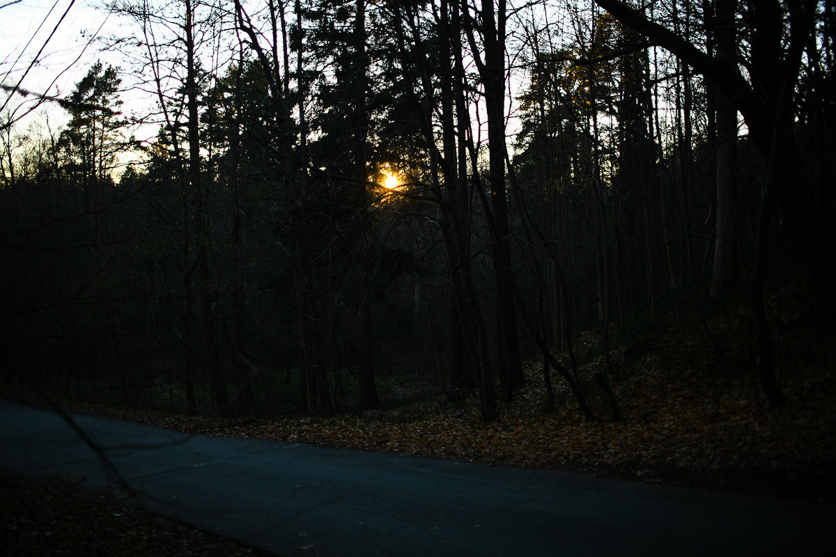 Natalie, woman of forest and sea. Виктория Дини. Арт-фотография