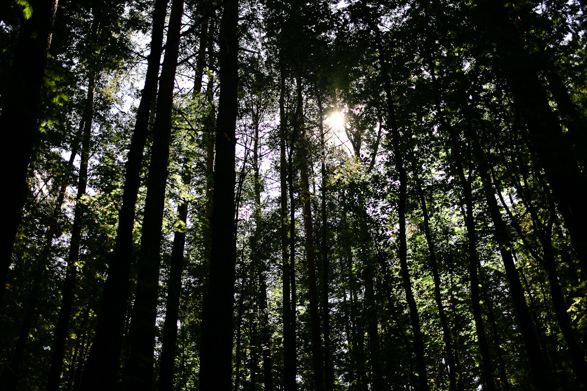 Морка, дочь охотника. Виктория Дини. Арт-фотография